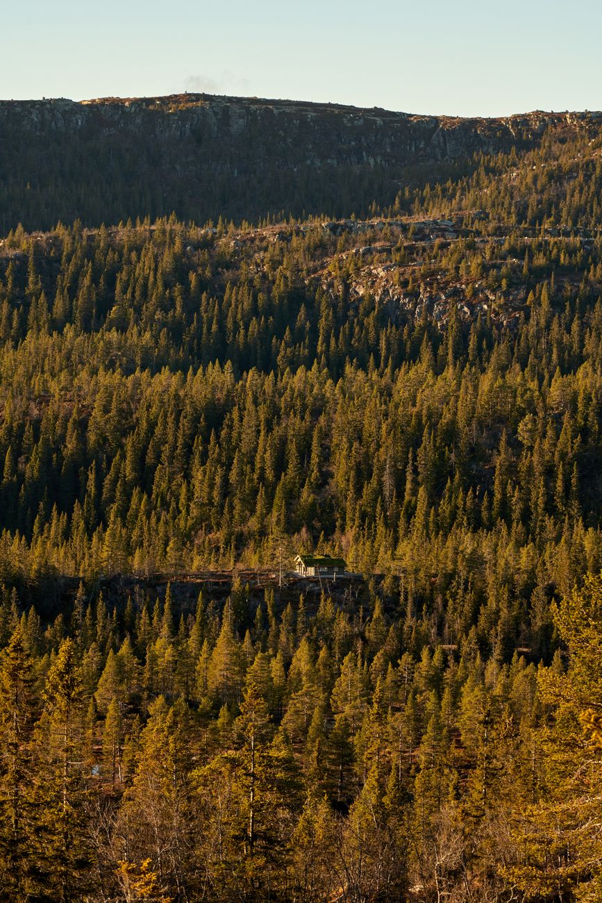 Scandinavian mountain cabin in morning light